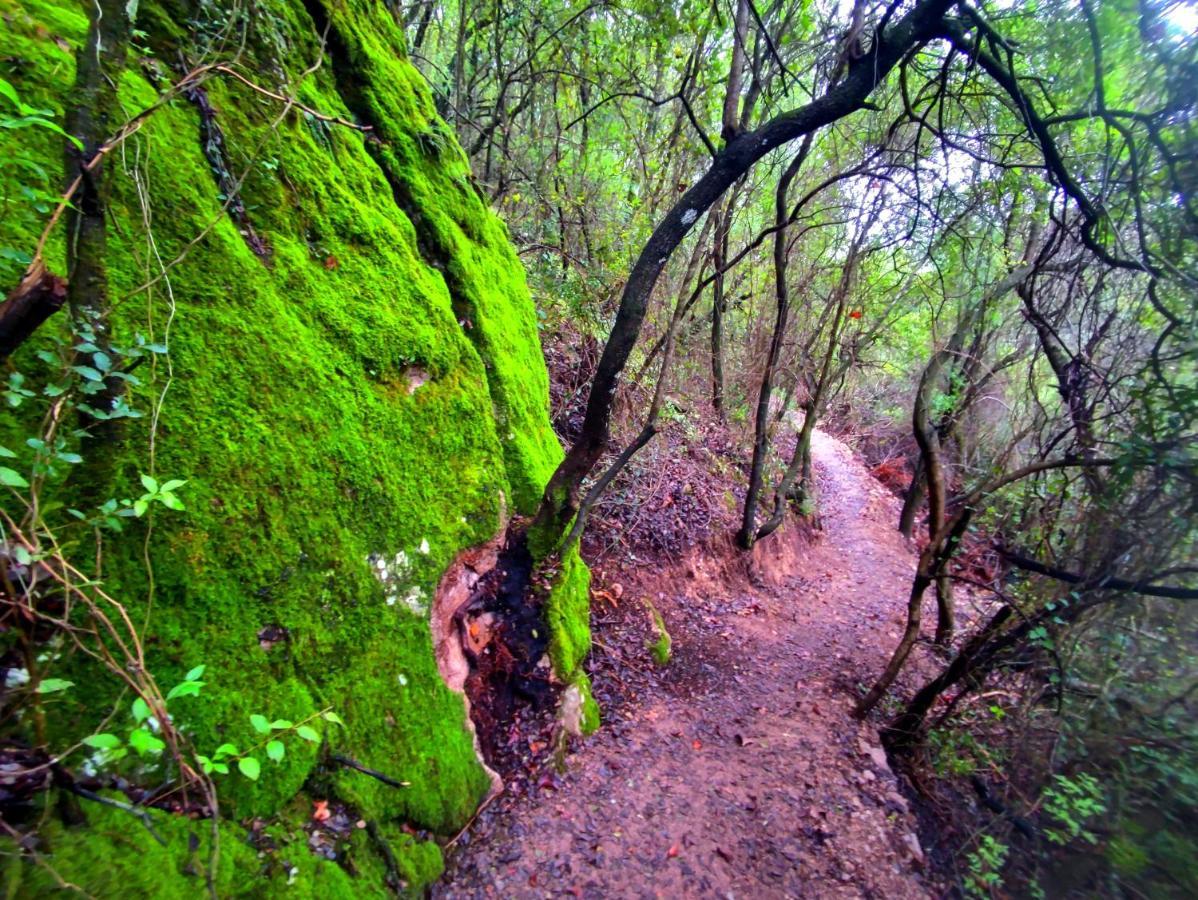 La Casa del Naturalista El Bosque Esterno foto