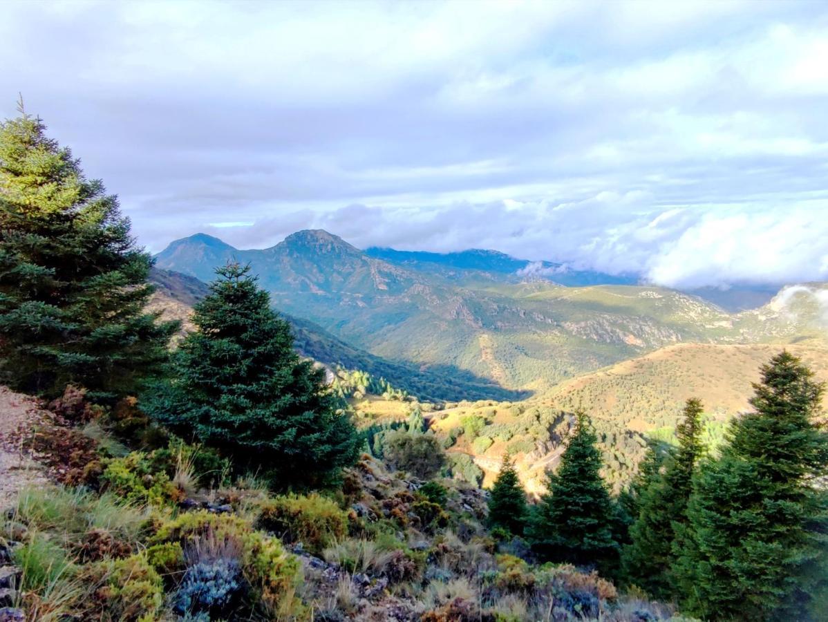 La Casa del Naturalista El Bosque Esterno foto