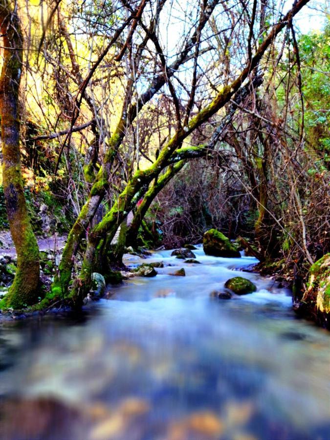 La Casa del Naturalista El Bosque Esterno foto