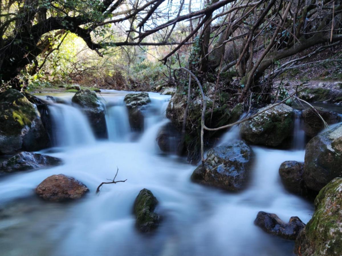 La Casa del Naturalista El Bosque Esterno foto
