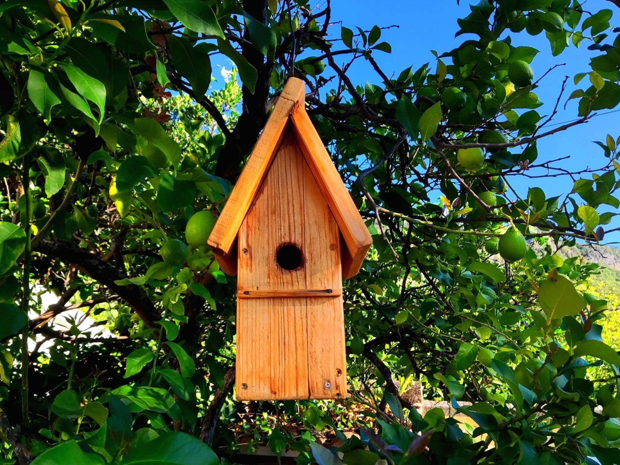 La Casa del Naturalista El Bosque Esterno foto